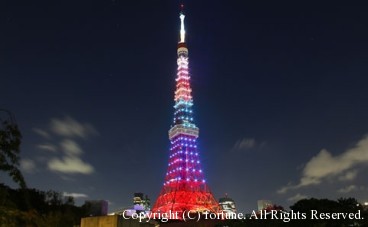 eeac0773c5da73fd88cc42e1b1b52b127a973c3a_tn482x298